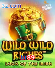 br89 wild wild riches pragmatic play